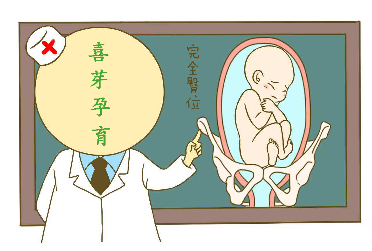 明明白白做超声（九）：胎儿脊柱、肋骨、四肢超声检查 - 知乎