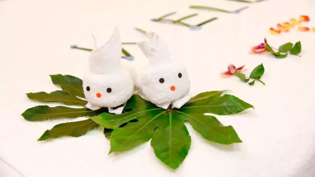 行旅体验官深圳最奢华的总统套房酒店竟还自带直升机停机坪