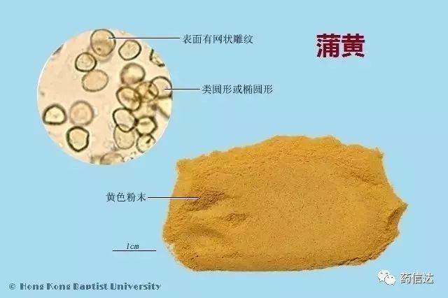 中药知识:220种常用中药材(含饮片)鉴别彩图