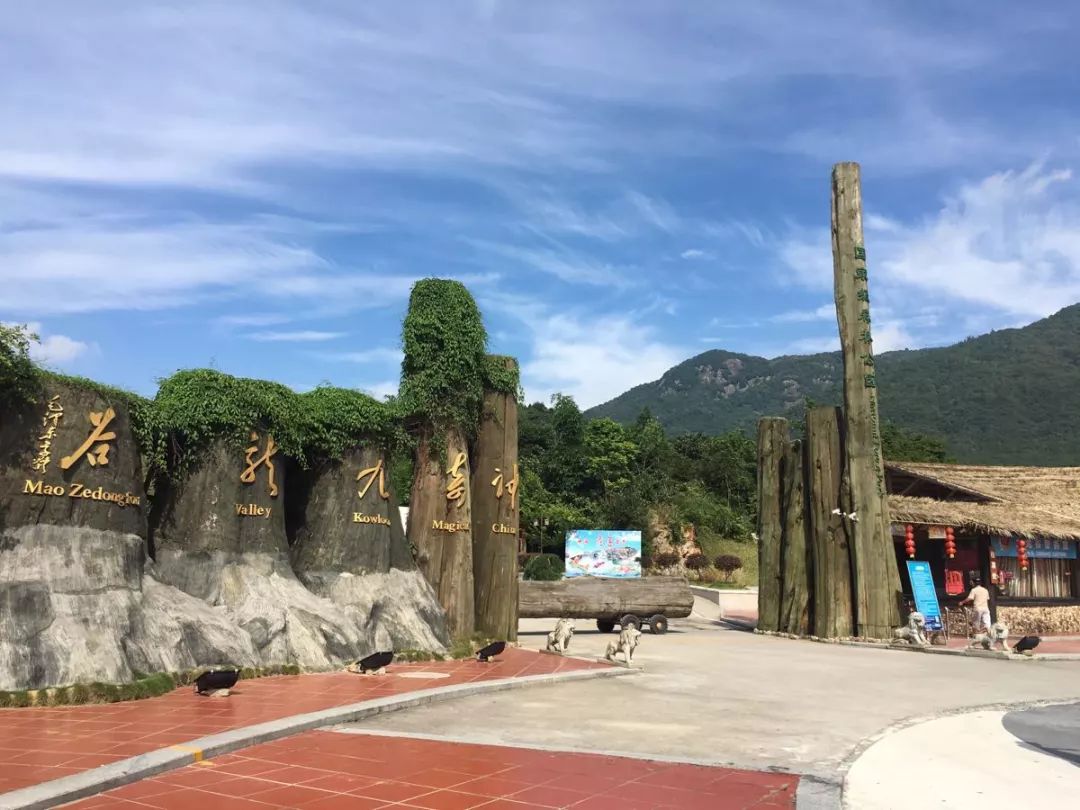 呼吸森林氧吧的九龙谷国家森林公园