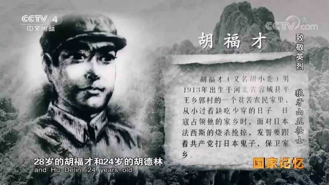 他是真正的英雄,却从未跟儿子提起!今天,纪念狼牙山五壮士!