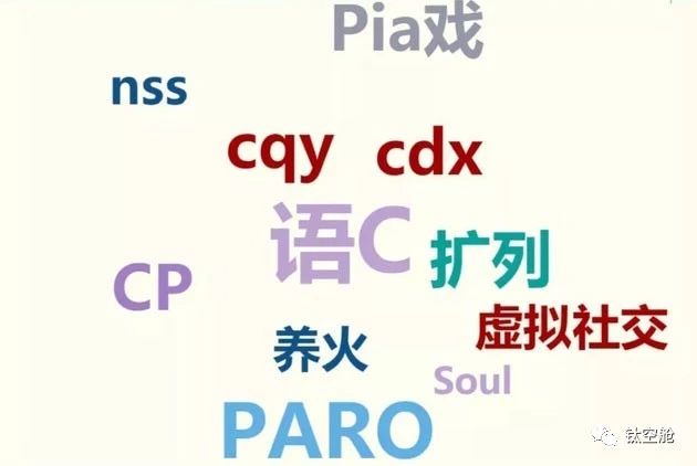 语c,pia戏,扩列,养火,paro,扩列,cqy……对年龄稍大的人来说,这些名词