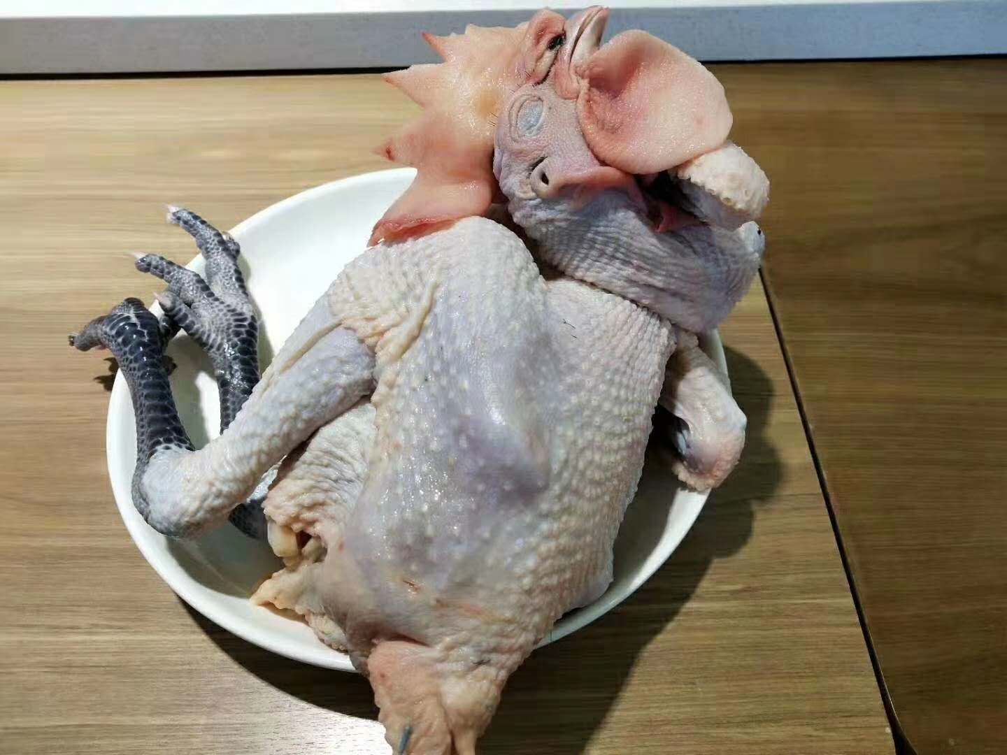 农家走地小公鸡