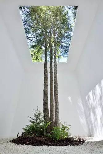 给屋顶开个口,给家里留道光