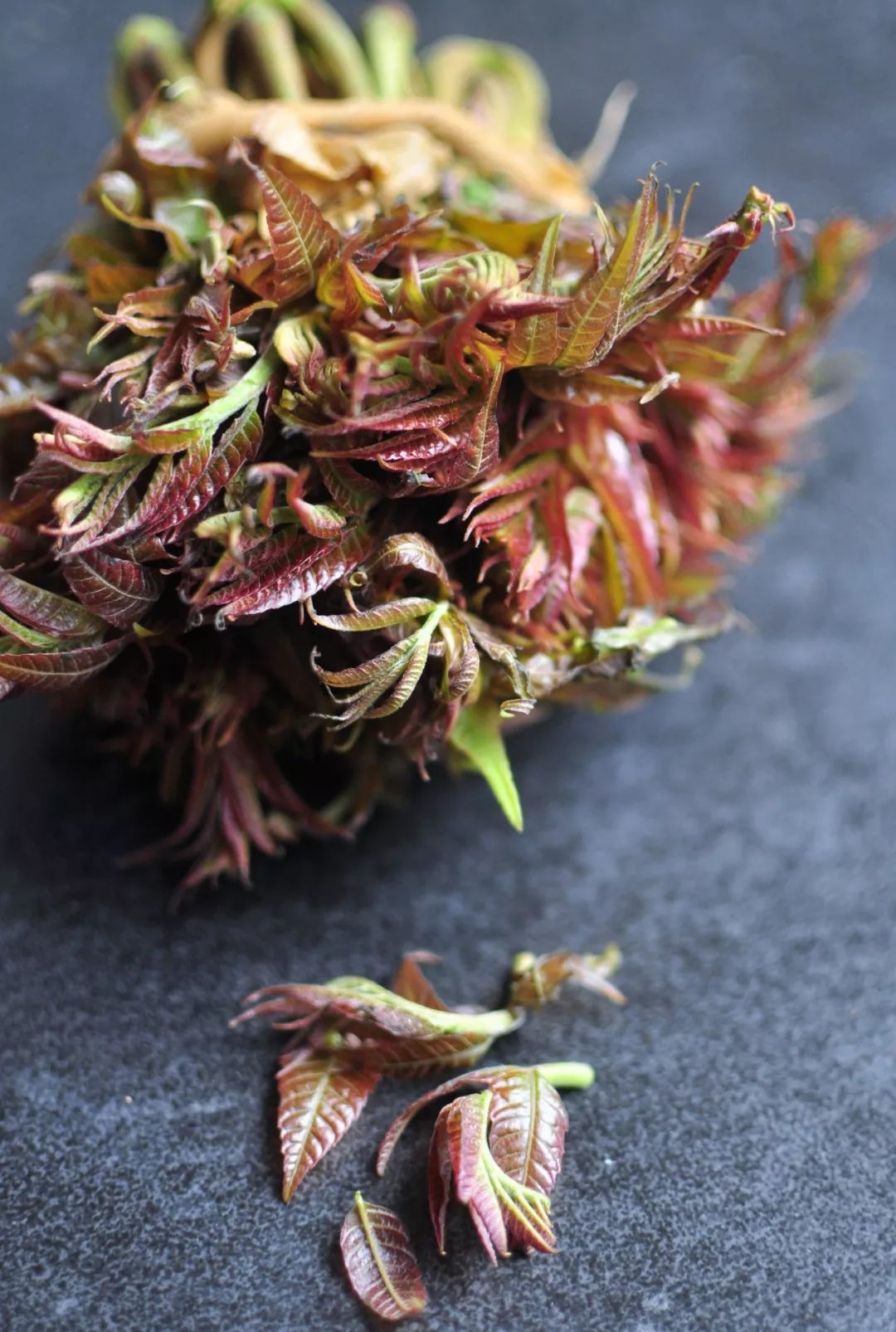 “椿”意盎然的时节，一个“香”字，就道尽椿之曼妙了_凤凰网