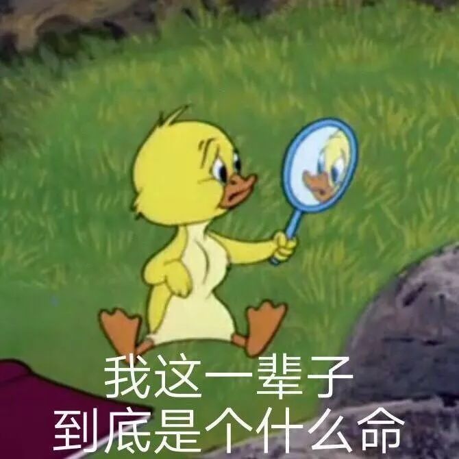 我都是24小時待命老羅只想說,無論公司有沒有實行996最近全網都在熱聊