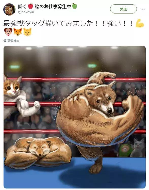 在右勾拳的超级肌肉柴面前,人类只能一败涂地