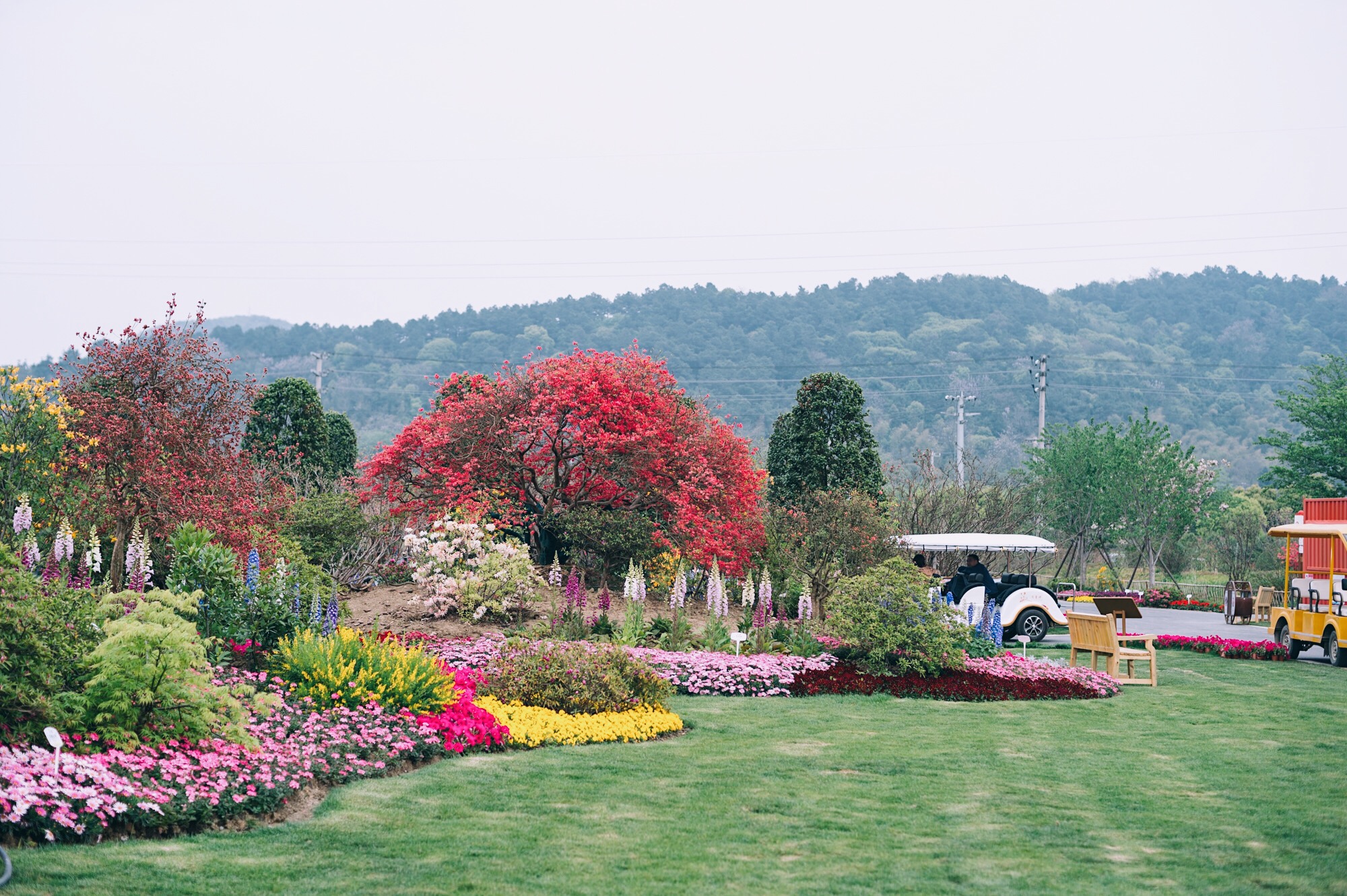无锡太湖之滨私藏了一处小众赏花圣地,花美人还少,周末约起来!