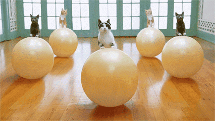 迟早要笑死在瑜伽里了