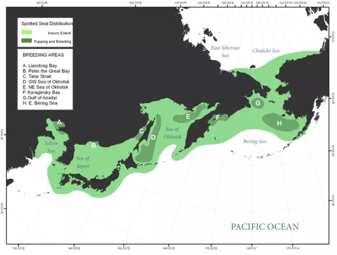 全球共有8个斑海豹繁殖区,大多分布于北方寒冷水域,如:楚科奇海,白令