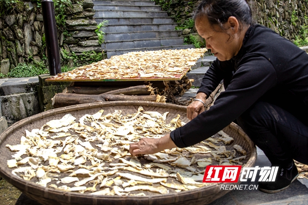 徒步雪峰山④丨溆浦茶马古道 :重走红军路