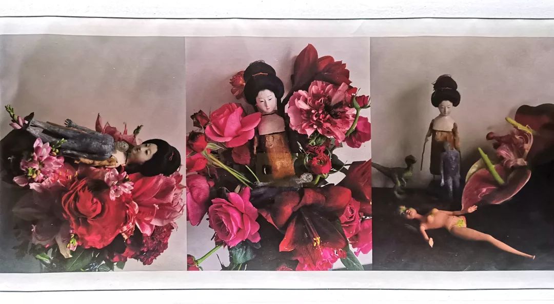 荒木经惟摄影展.花幽 | 南艺 #作品200p