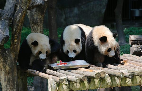 天上人间的日与夜漫游重庆轻轨二号线下