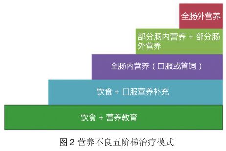 规范化肿瘤营养治疗示范病房标准
