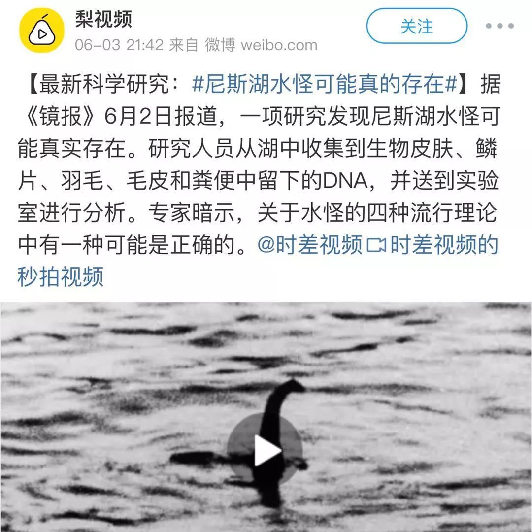 尼斯湖水怪可能真的存在科学家我不是我没说