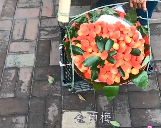 成都街头金西梅小贩说是纯天然水果买回家一泡水就傻眼了
