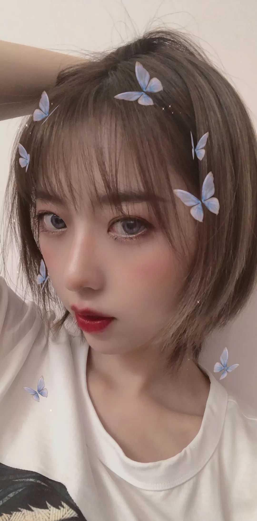 为什么我女朋友的照片头上都是蝴蝶?