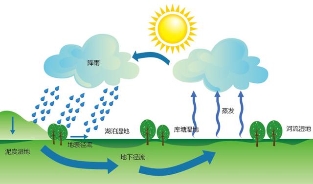 蒸腾作用与水循环图片