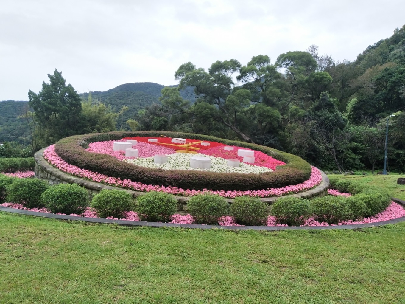 今天的行程是阳明山,很多人把阳明山成为台北后花园,的确,冬日里花钟