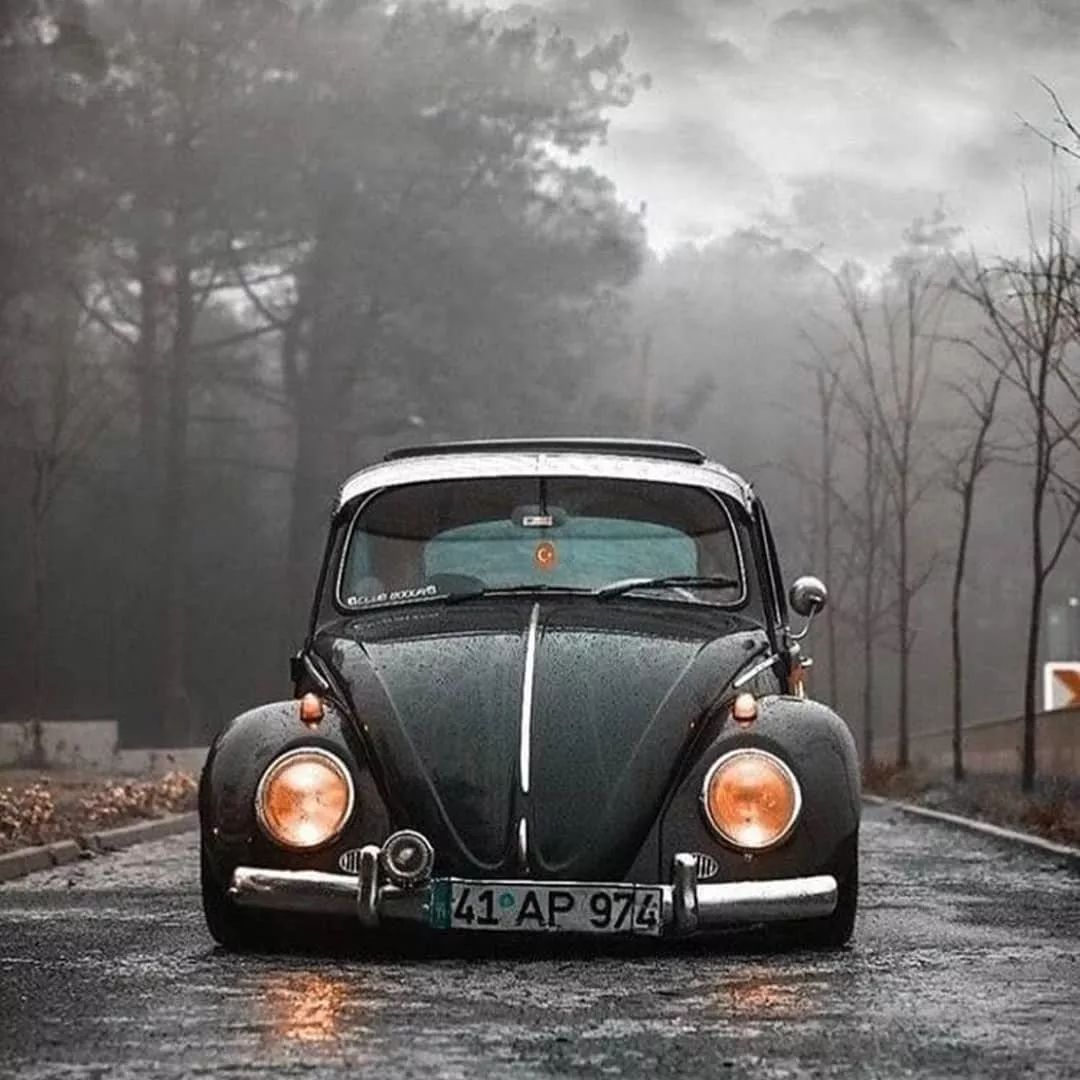 壁纸丨这些vintage car太可爱啦!