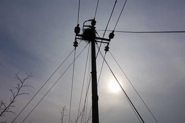 农村田地载电线杆 应该补贴多少钱