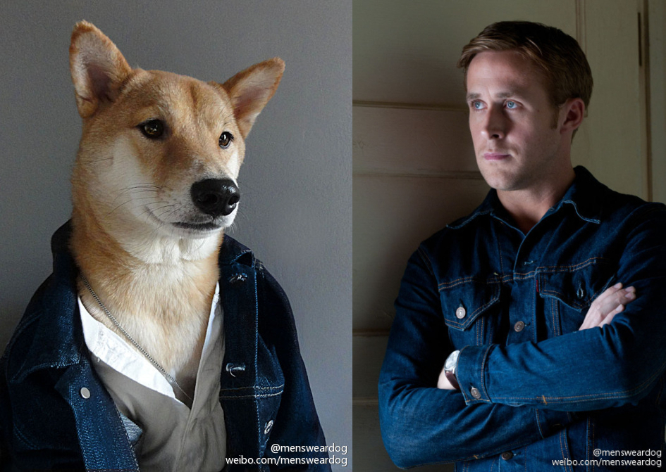 不仅长得比你可爱穿搭还比你更努力更有型