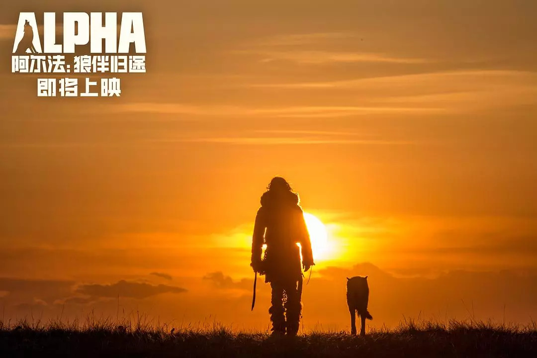 狼来了!这大概是接下来最值得期待的一部电影了!