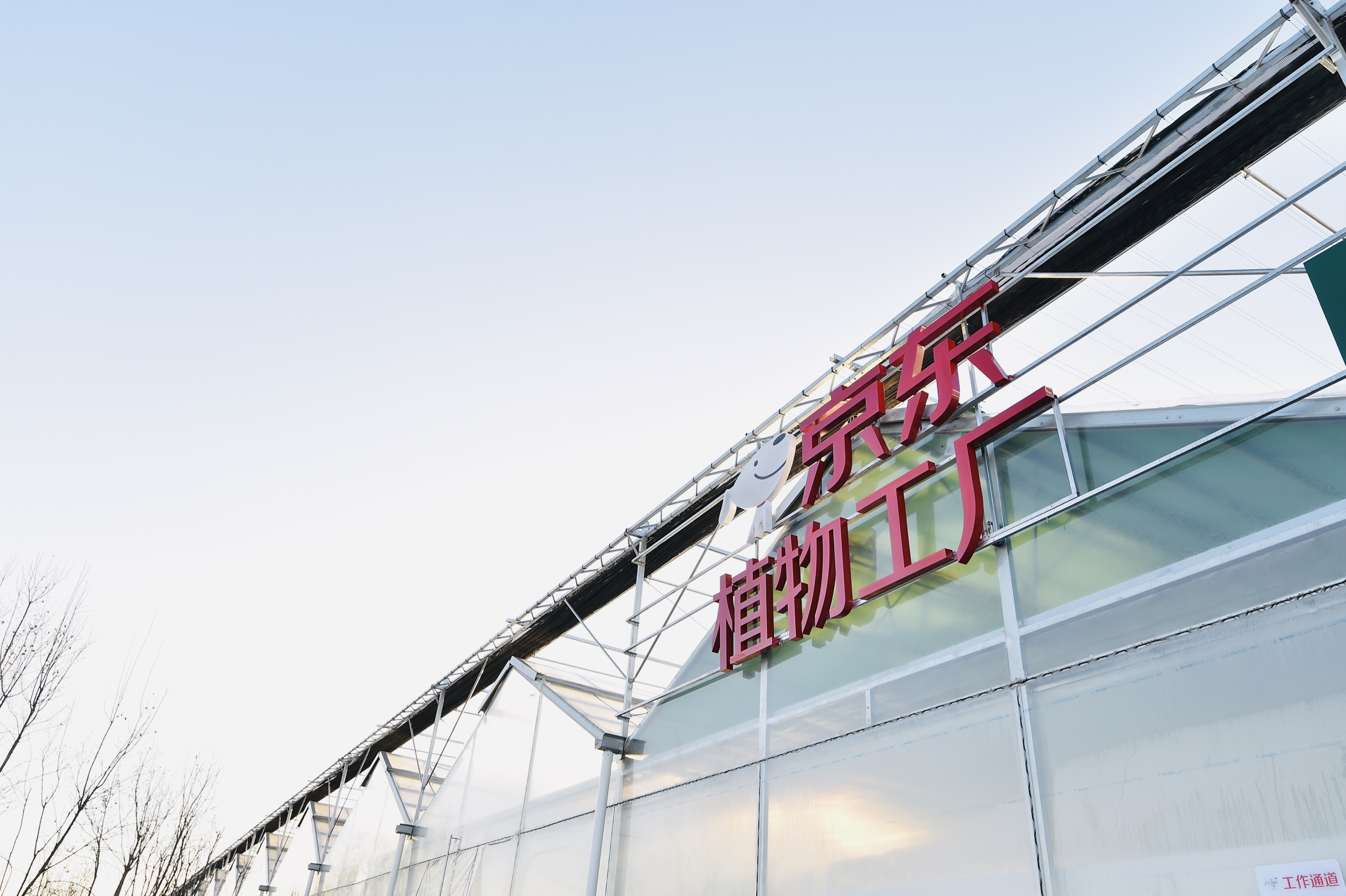 国内最大植物工厂投产蔬菜喝营养液年产19茬比有机蔬菜更便宜