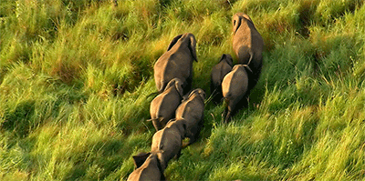 400_199gif 动态图 动图