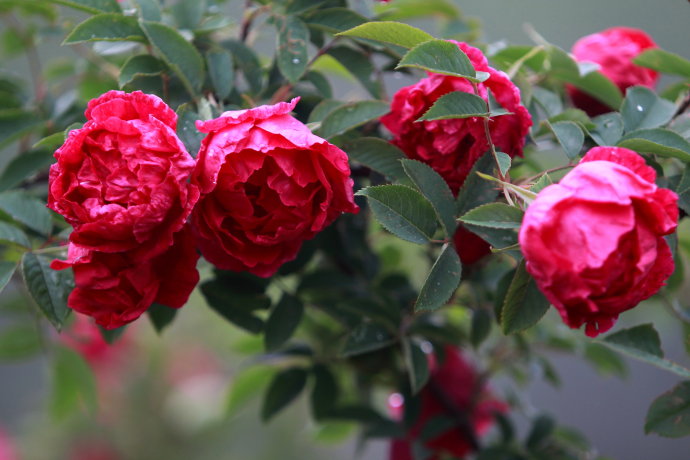 如果再有人说济南没什么特产,就把这篇文章甩给他!