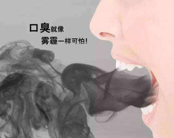 口气重令人退避三舍, 脾胃湿热喝芹菜粥__凤凰网