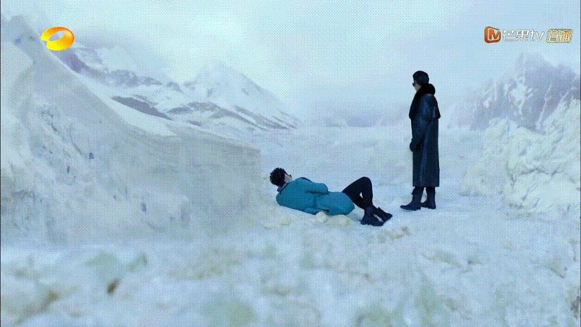 雪地犬遇到雪崩的电影图片