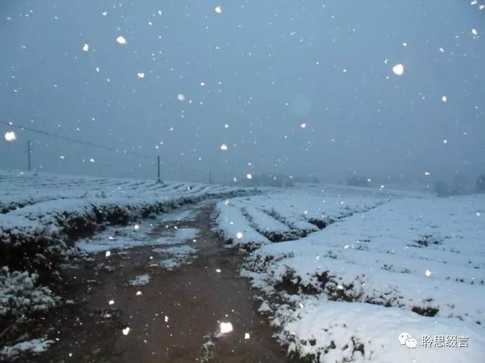 在了夢裡等到醒來又落入了夢裡從夢中來紛紛落下雪花在夢中飄舞原標題