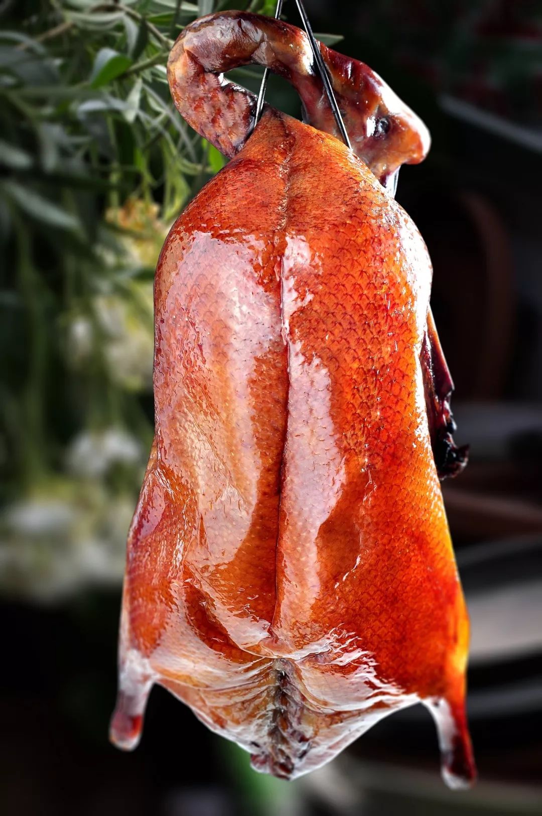 食香阁自备各色乐器和高档音响设备,给你的聚会助兴,让你的年末聚会不