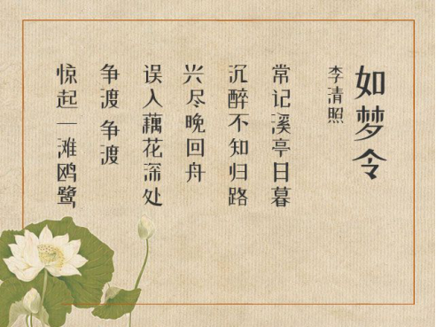 是否已是绿肥红瘦的景观呢 虽然现在正值隆冬 海棠花难觅 绿肥红瘦亦