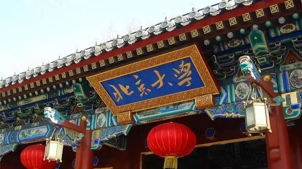 被投资圈残害的北清复交学生们