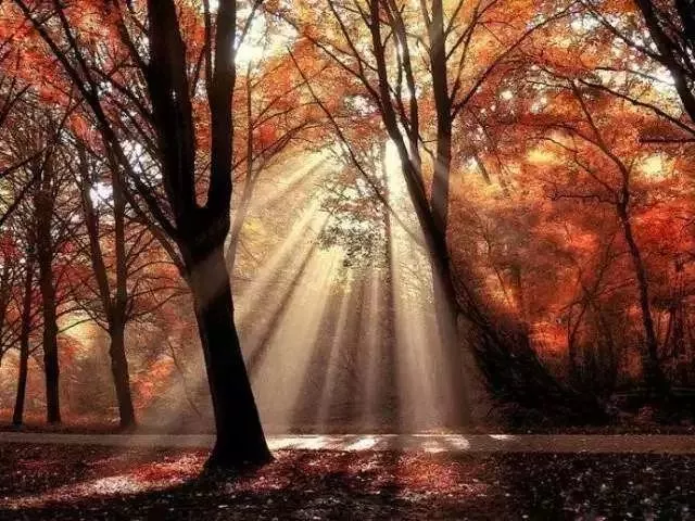 想要拍出漂亮的耶稣光,你需要掌握这些摄影技巧