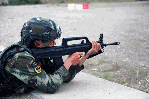 并无所谓的世界自动步枪排行榜依据