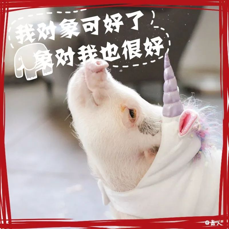 谢谢关心我只是一只猪