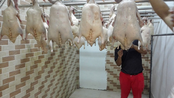 烧鸭风干房设计原则,空间与设备大有讲究