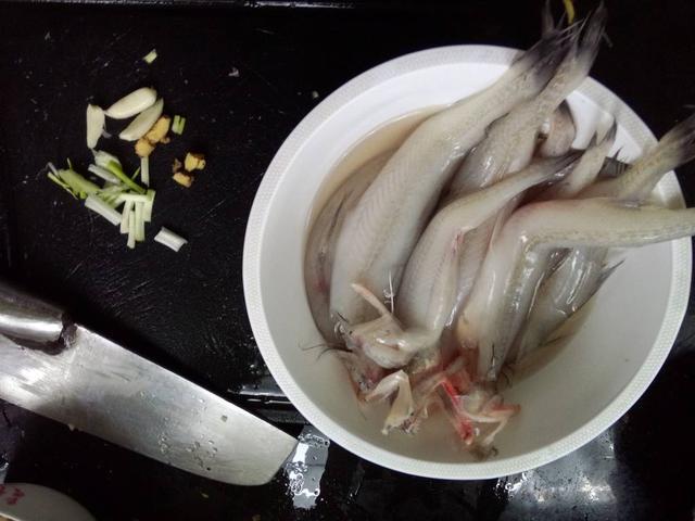 身段柔软,却是欺虾压蟹的"龙头鱼"——水潺