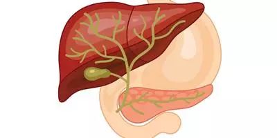 胆道出血的机制诊断和治疗