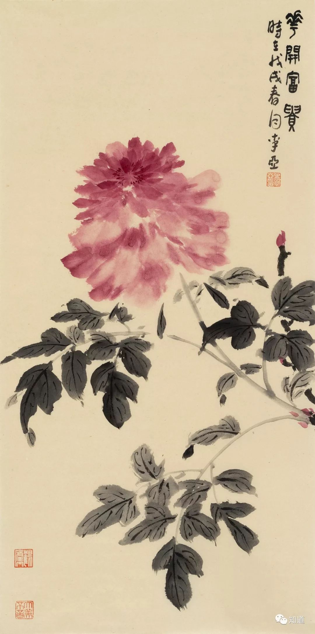 knowart | 李亚作品 写意花卉三幅__凤凰网