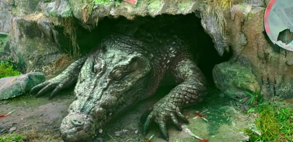 解读《百万巨鳄》:鳄鱼发狂袭人,错在鳄鱼,还是错在人类?