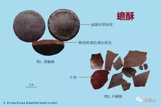 中药知识:220种常用中药材(含饮片)鉴别彩图