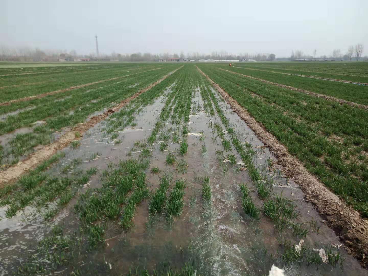 农村这样浇地,省时又省力,告别苦累脏