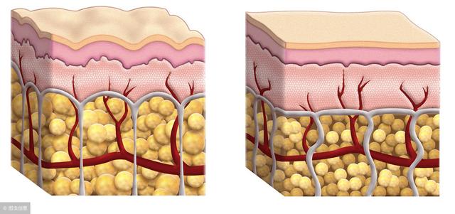 肌肉跟脂肪有什么区别力量训练会让你变肌肉巨人吗