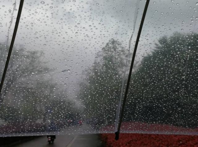 南方梅雨季很潮湿一楼怎么防潮