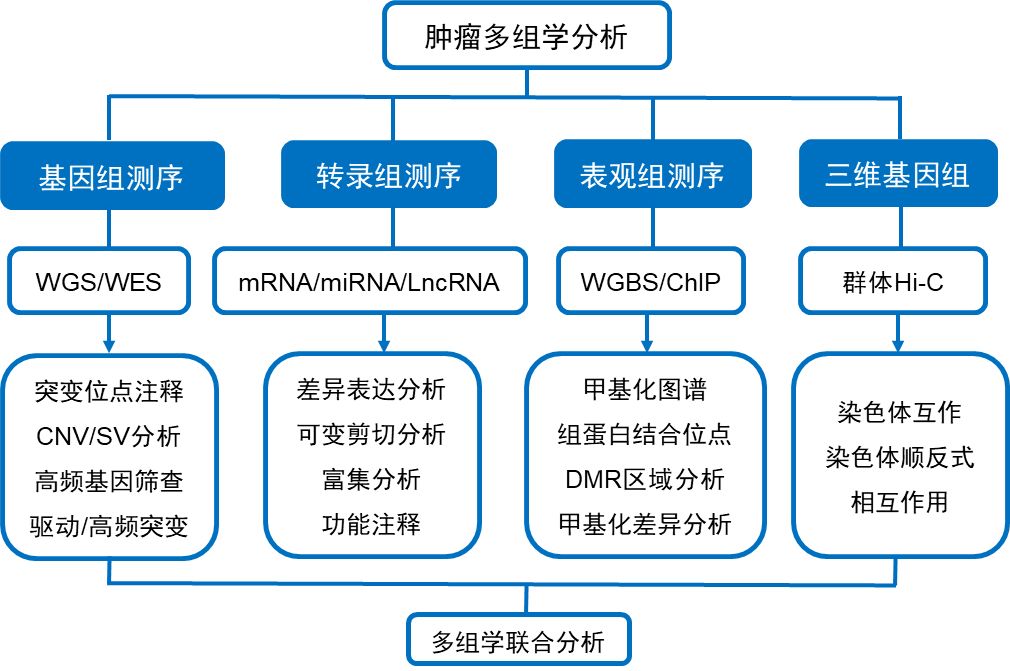 最全思路|基于多组学分析的肿瘤研究__凤凰网