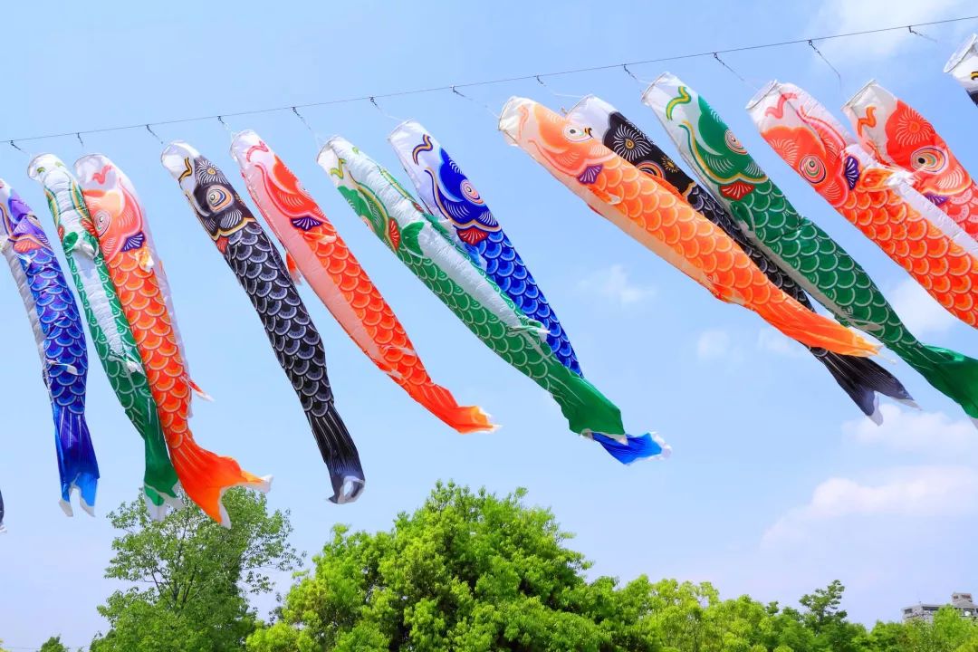 (儿童日悬挂鲤鱼旗)
